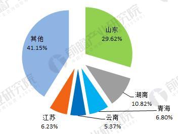 正版蓝月亮精选资料